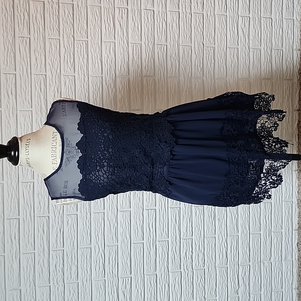 Lacy Navy Skater Dress